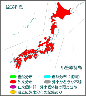 国内分布図