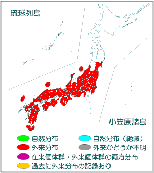 国内分布図