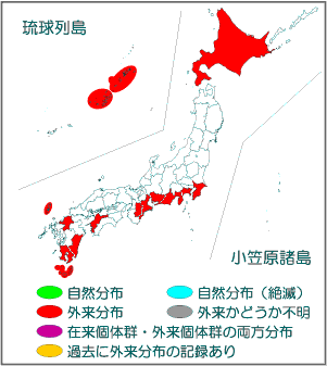 国内分布図