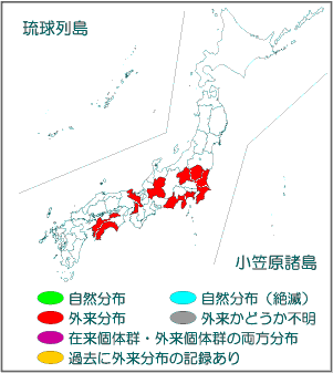 国内分布図