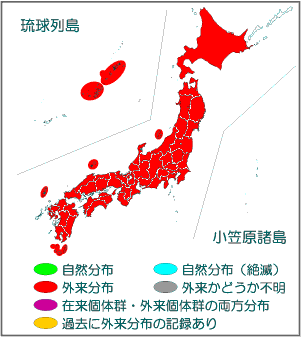 国内分布図