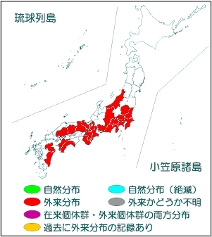 国内分布図