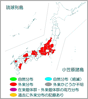 国内分布図