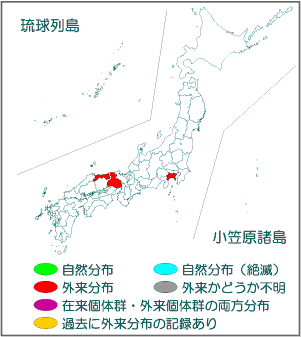 国内分布図