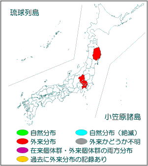 国内分布図