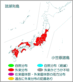 国内分布図