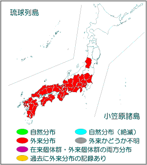 国内分布図