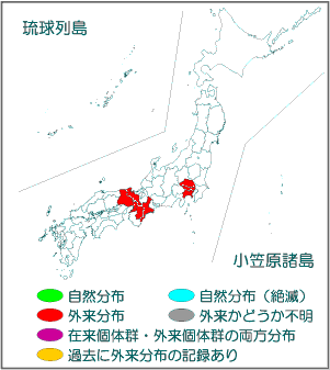 国内分布図