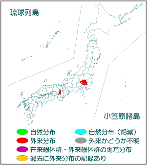 国内分布図