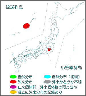 国内分布図