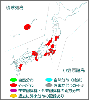 国内分布図