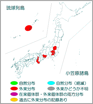 国内分布図