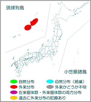 国内分布図