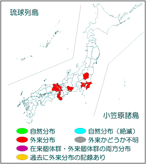 国内分布図