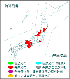 国内分布図