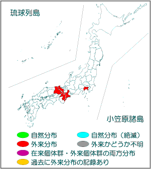 国内分布図