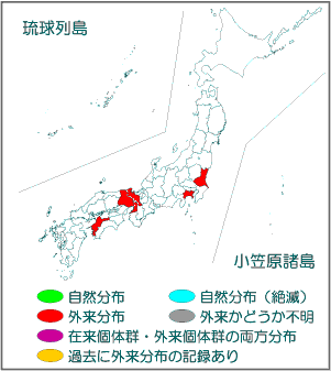 国内分布図