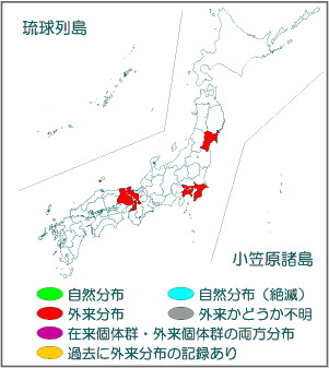 国内分布図