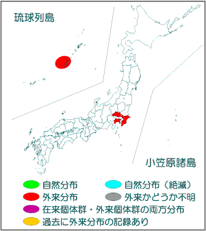 国内分布図