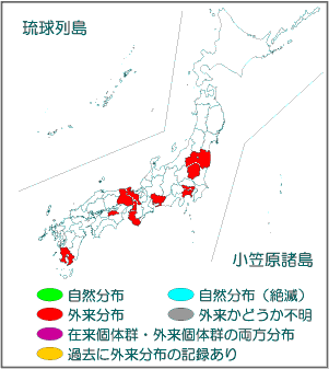 国内分布図