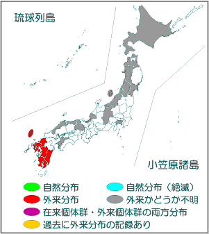 国内分布図