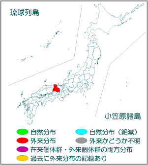 国内分布図