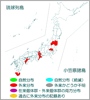 国内分布図