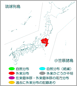 国内分布図