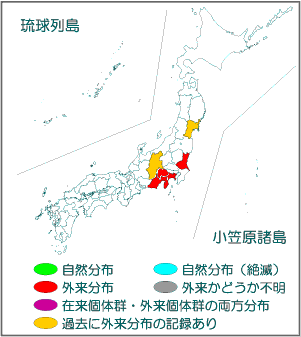 国内分布図