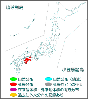 国内分布図