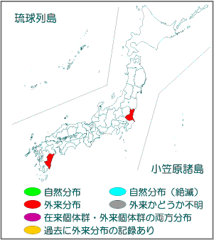 国内分布図