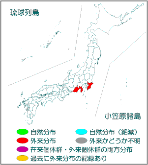 国内分布図