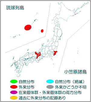 国内分布図