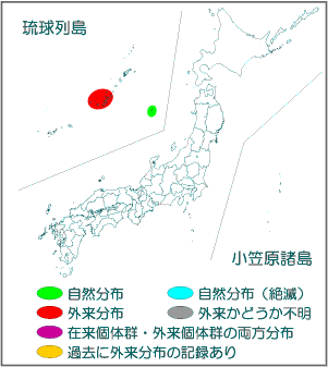 国内分布図