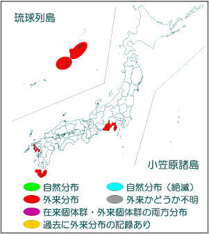 国内分布図