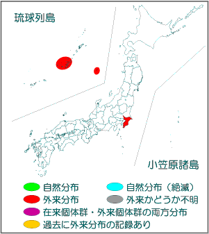 国内分布図