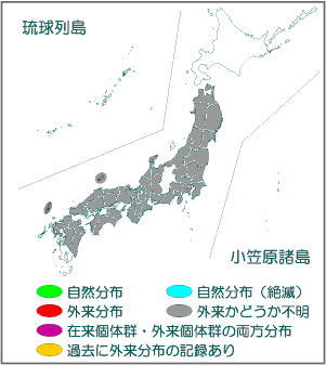 国内分布図