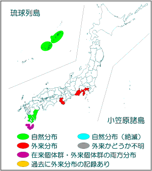 国内分布図