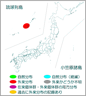 国内分布図