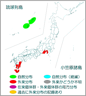 国内分布図