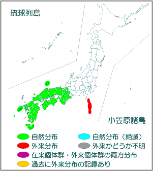 国内分布図