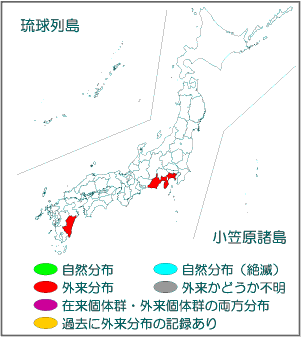 国内分布図