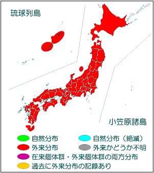 ウシガエル 国立環境研究所 侵入生物db