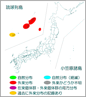 国内分布図