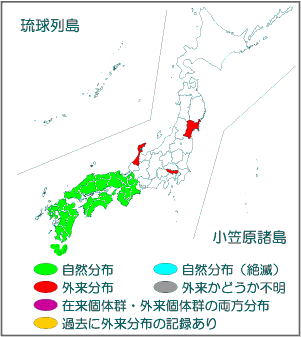 国内分布図