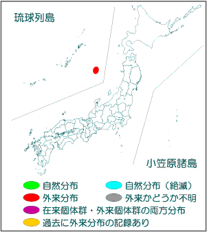 国内分布図