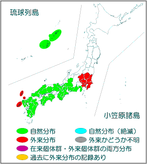 国内分布図