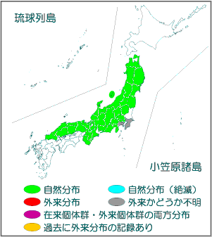 国内分布図