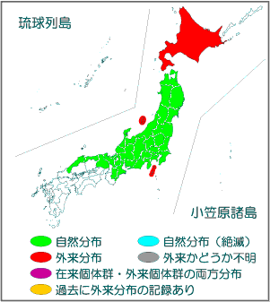 国内分布図