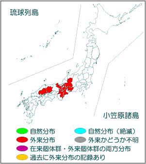 国内分布図